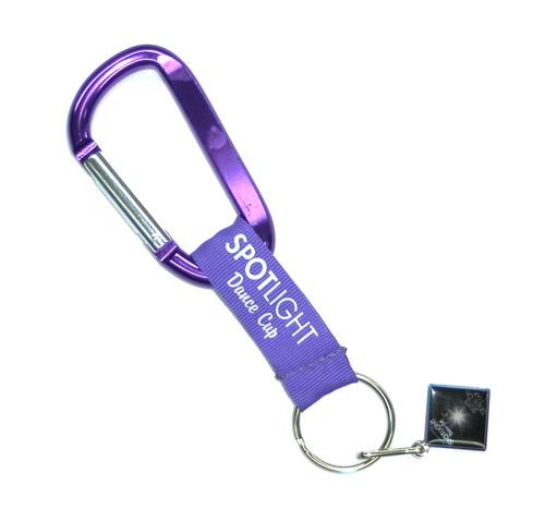 Silk Screen Print Logo Carabiner Key Chains , Polyester Lanyard Keychain With Lapel Pin
